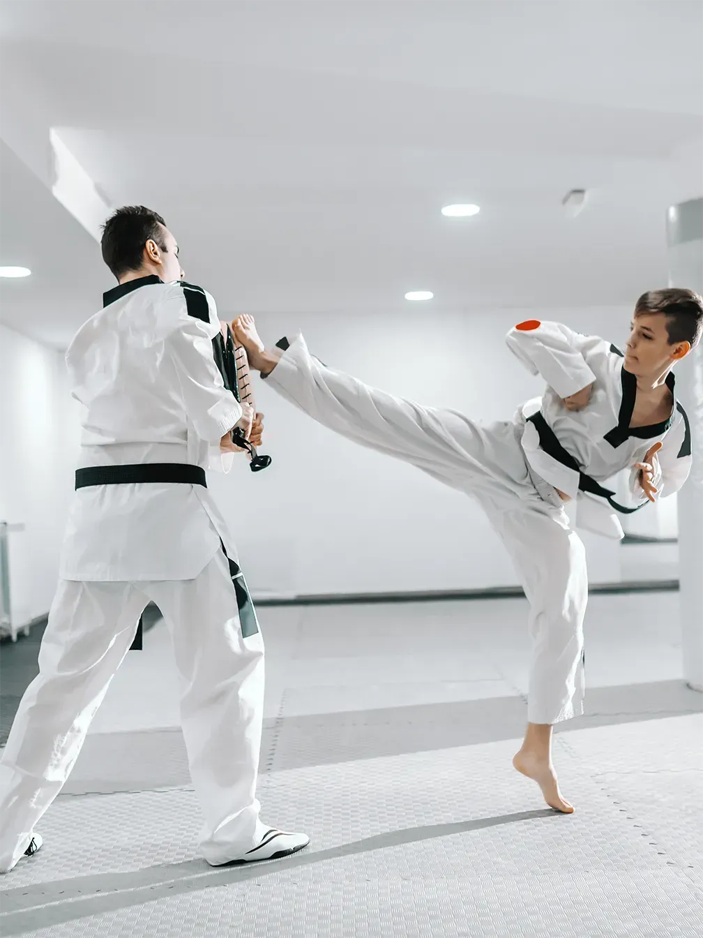 image - tigers taekwondo program