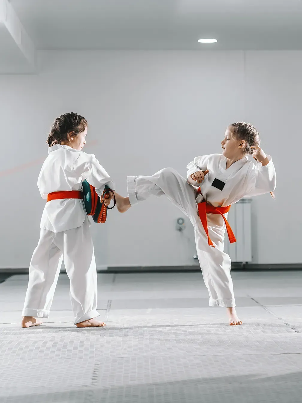 image - little tigers taekwondo