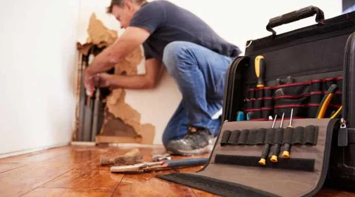west auckland Handyman