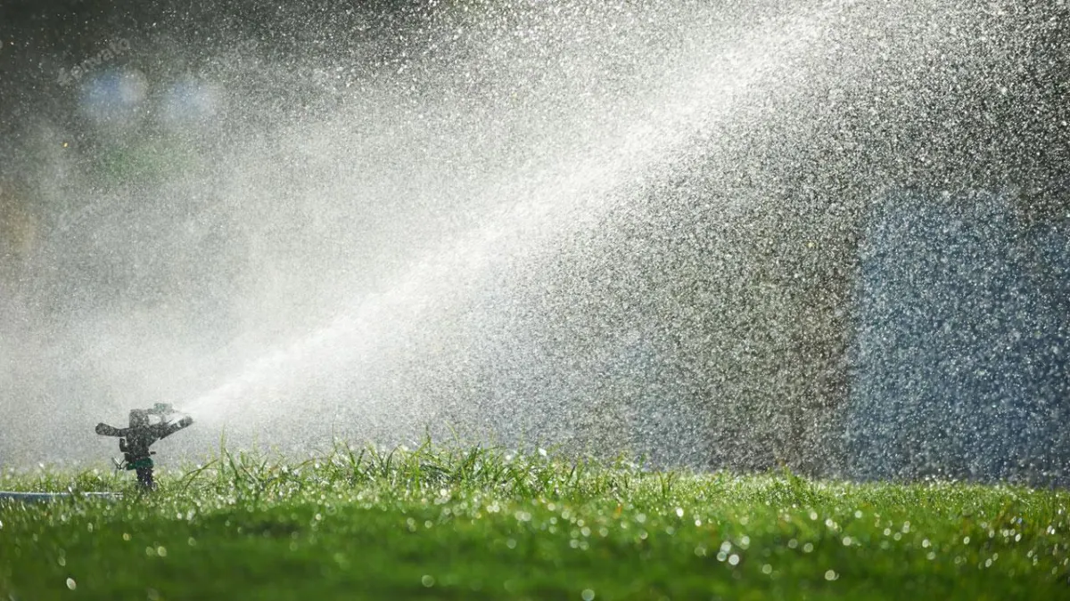 drainage irrigation handyman northwest auckland
