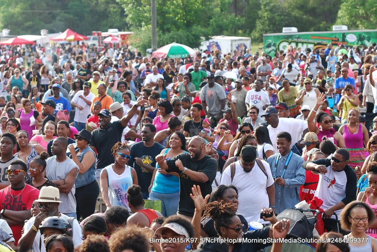 a large crowd of people at a concert