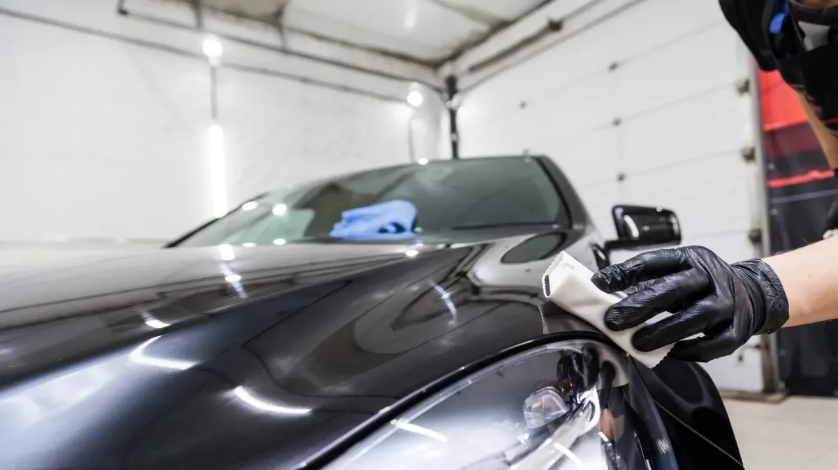 auto detailing in tampa fl