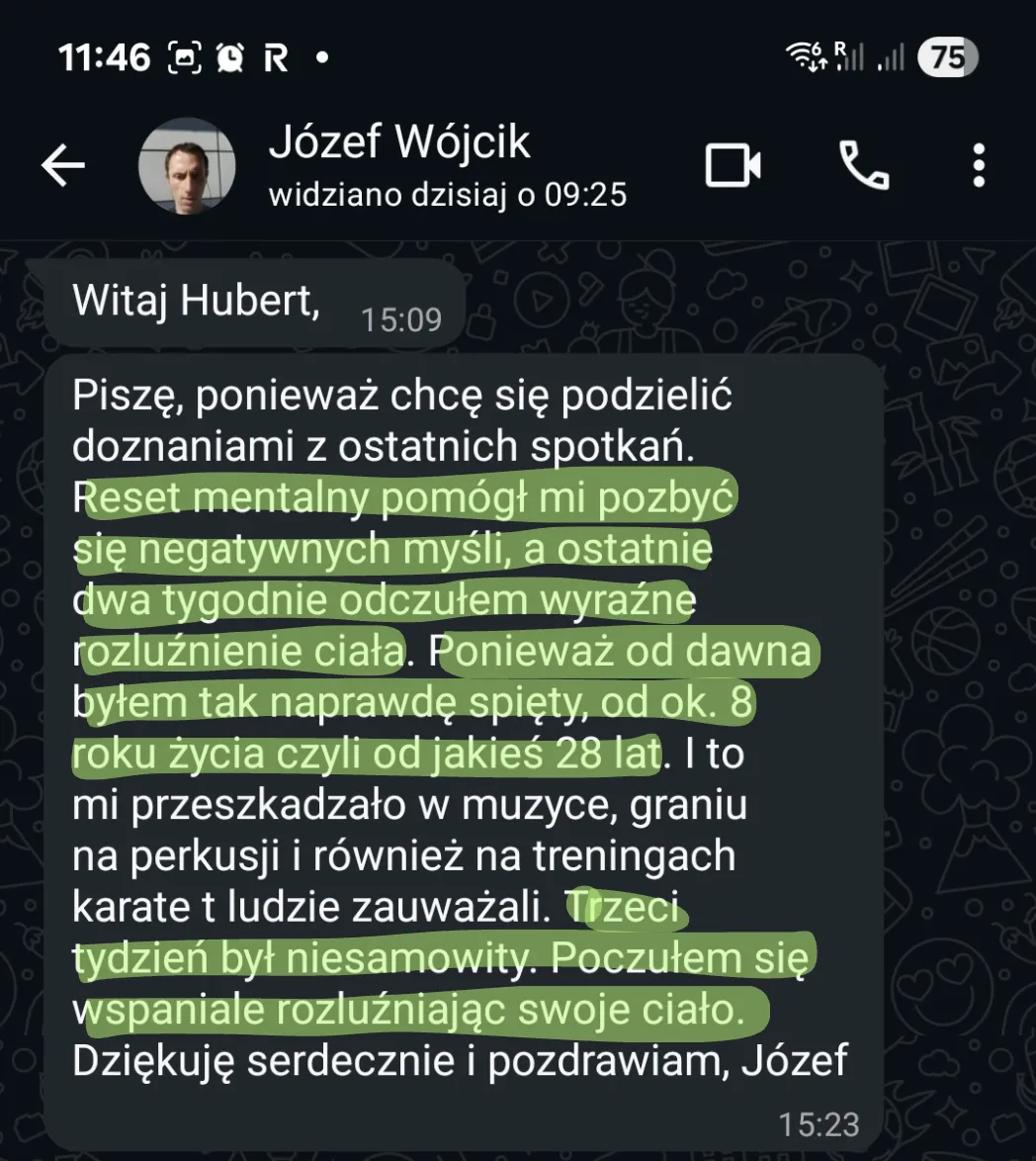Podgląd programu — grafika