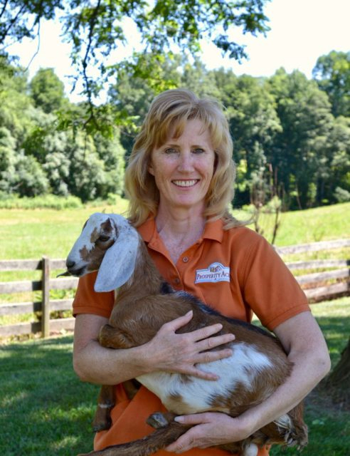 city soil curriculum faith based lesson plan