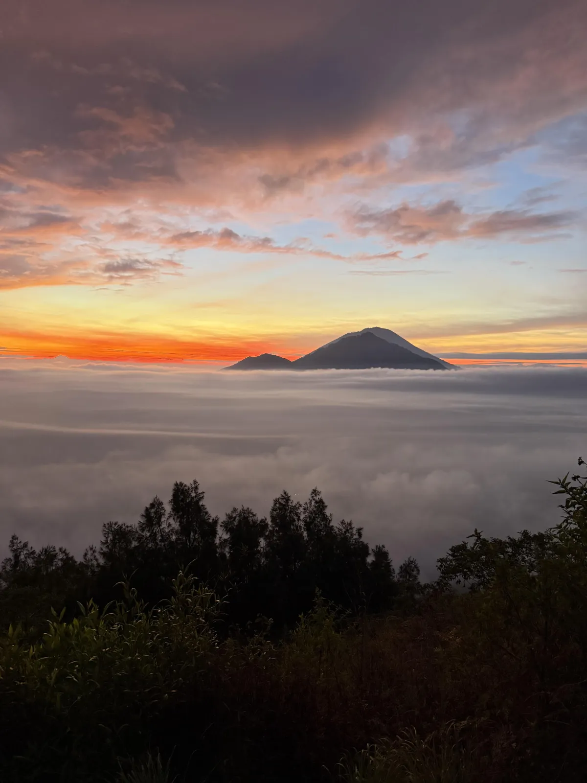 green trees near lake during daytime