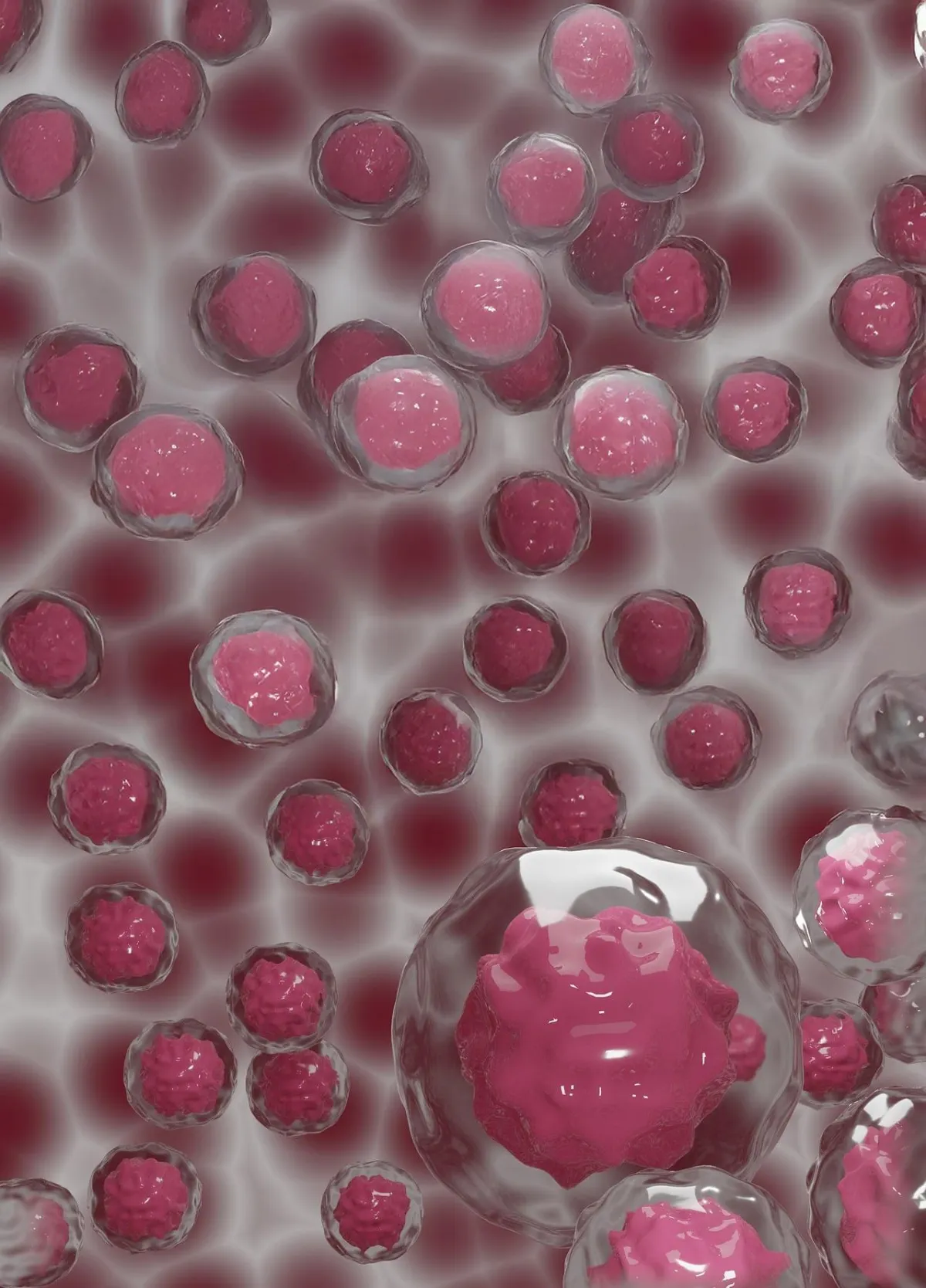 Stem Cells