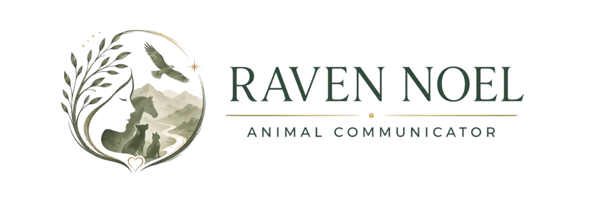 Raven Noel Animal Communicator Logo
