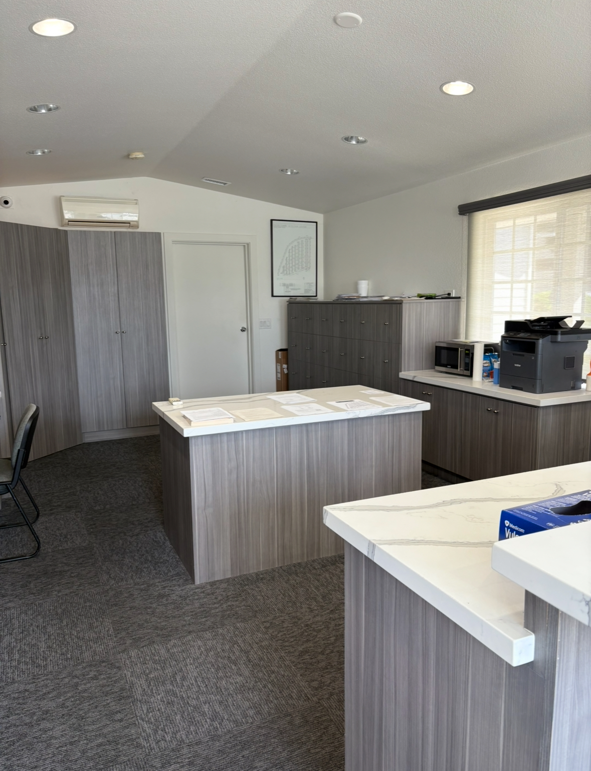 green and brown plant during daytime