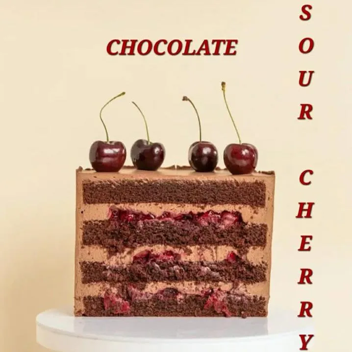 Chocolate Napoleon pastry with decorative icing and layered chocolate filling