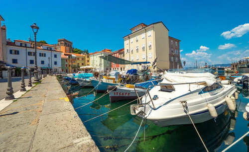 Muggia persiane