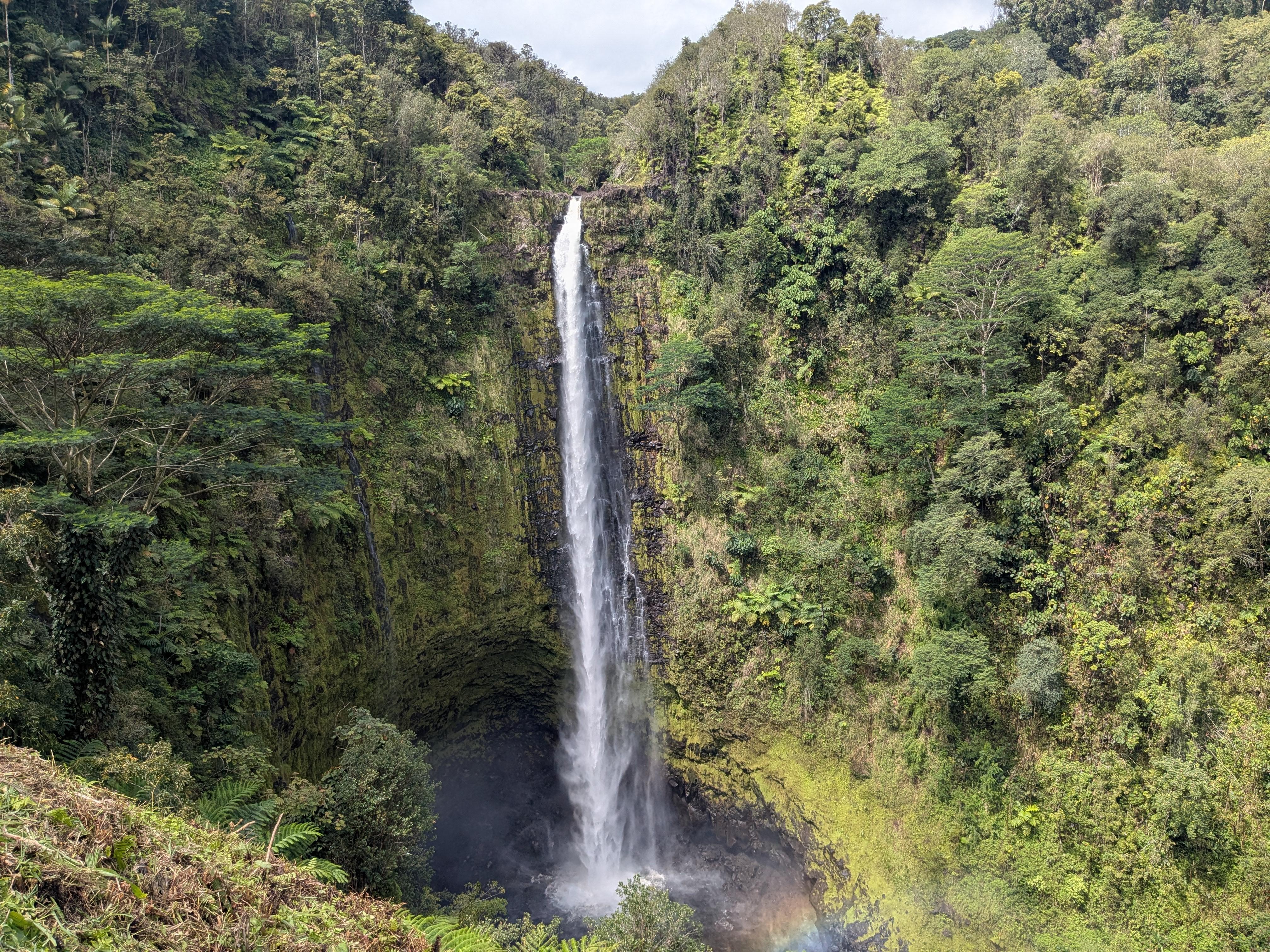 Akaka Falls State Park