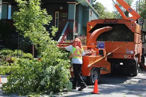 Full tree service cleanup by Front Range Tree Experts, chipping branches and hauling debris from residential property.