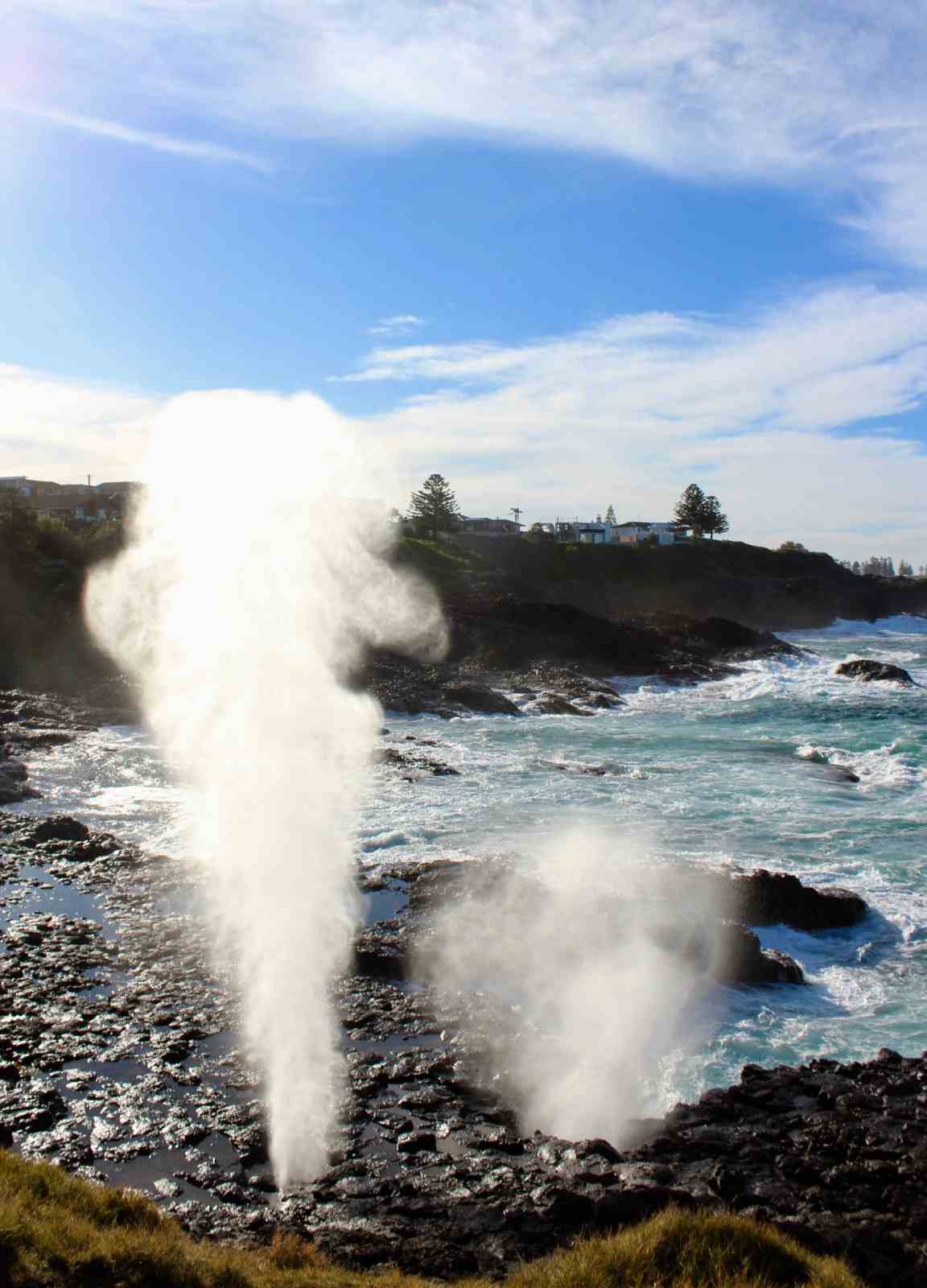 The Kiama Blowhole: A Visitor Guide to the Headland
