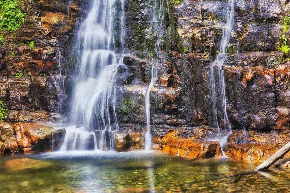 Minnamurra Rainforest and Falls: A Day Trip from Kiama 