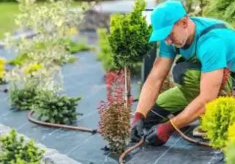 Professional planting and landscape bed installation by Coastal Virginia Landscape & Design