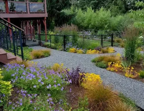Gravel garden paths with native plantings by Coastal Virginia Landscape & Design in Suffolk, VA