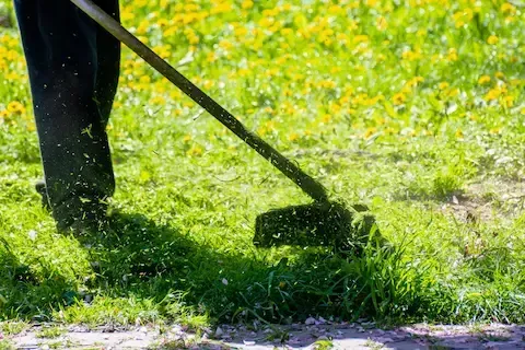 Lawn edging and grass trimming by Coastal Virginia Landscape & Design in Suffolk, VA