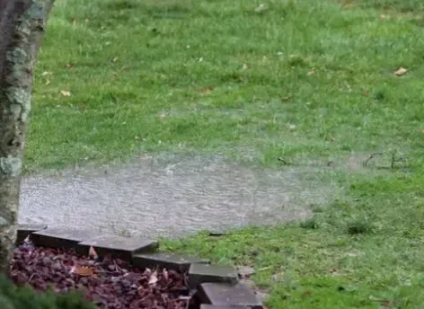 Standing water drainage issue in a Suffolk yard addressed by Coastal Virginia Landscape & Design