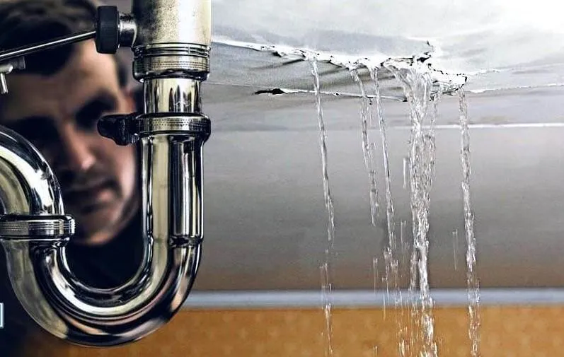 Signs You May Have a Plumbing Leak