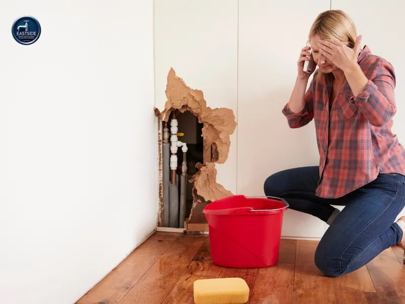 pipe repair and replacement