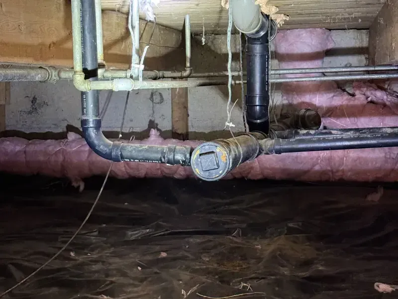 repiping services Bellevue WA