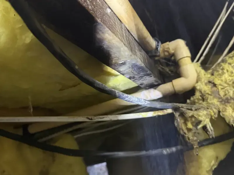 Eastside Repipe And Plumbing technician performing general plumbing repair in Bellevue WA.