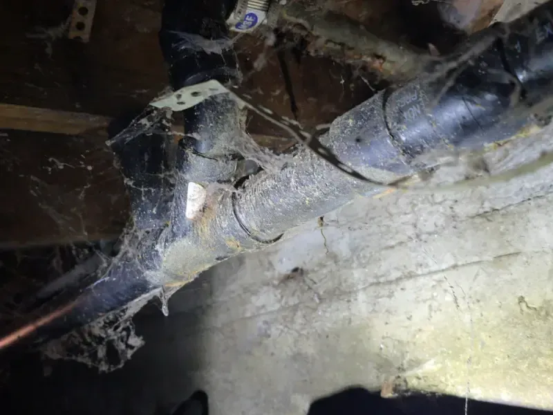 plumbing repair Bellevue WA
