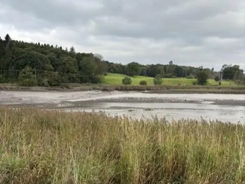 View across the estuary and reed beds beside Core Path 13 in Kirkcudbright