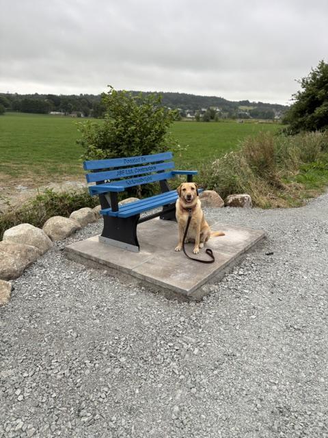 The newly surfaced Core Path 13 beside a bench donated by JSF Ltd Contractors