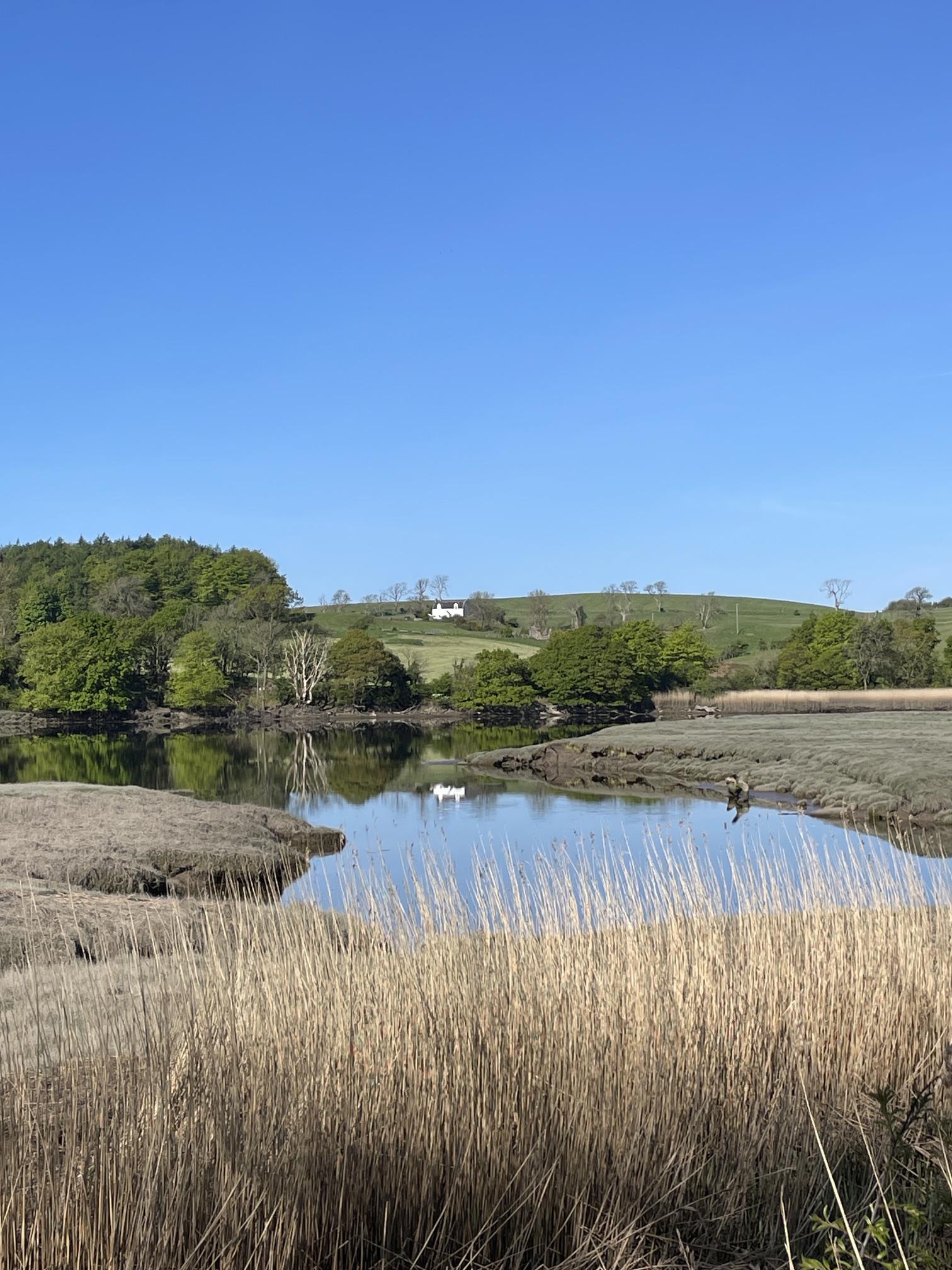 Reed beds and water beside Core Path 13 near Kirkcudbright