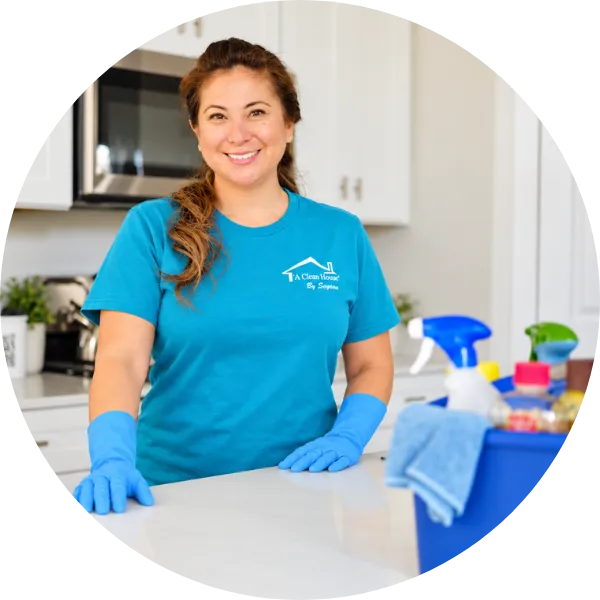 professional house cleaning services in jackson, mi