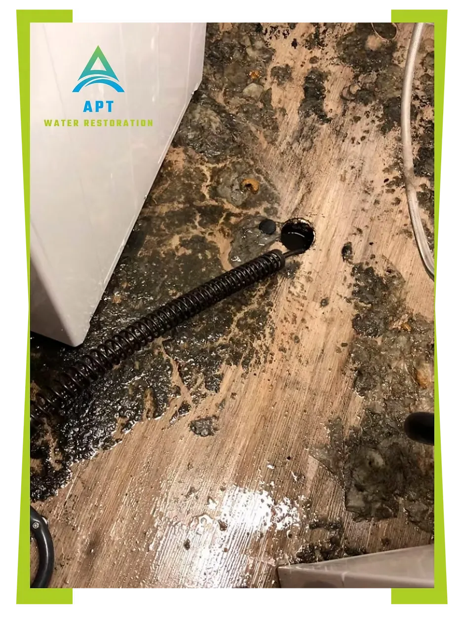 Sewage Backups & Burst