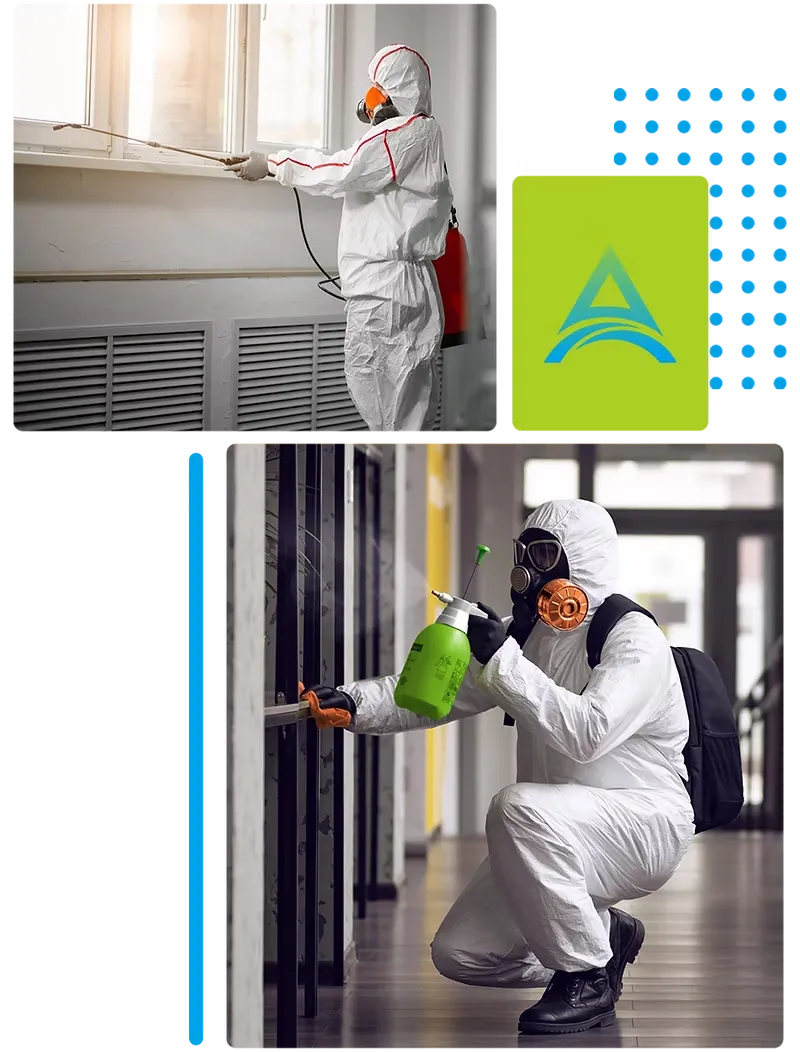 Mold Removal Services