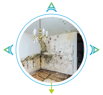 WATER DAMAGE RESTORATION