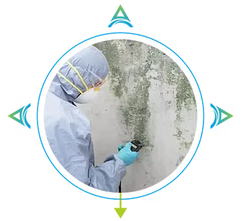 MOLD REMEDIATION