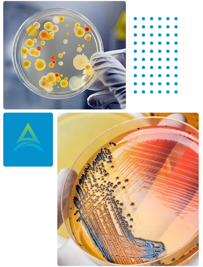 Avoid Microbial Contamination