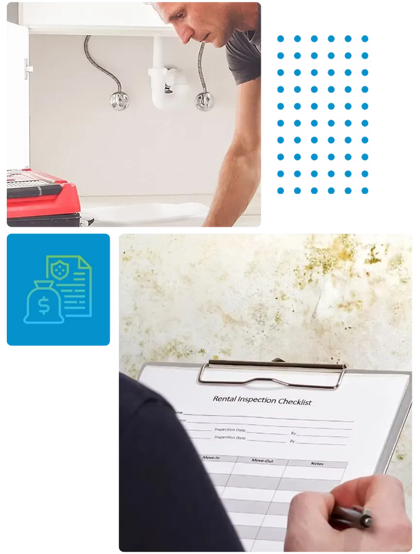 Water Restoration - Insurance 