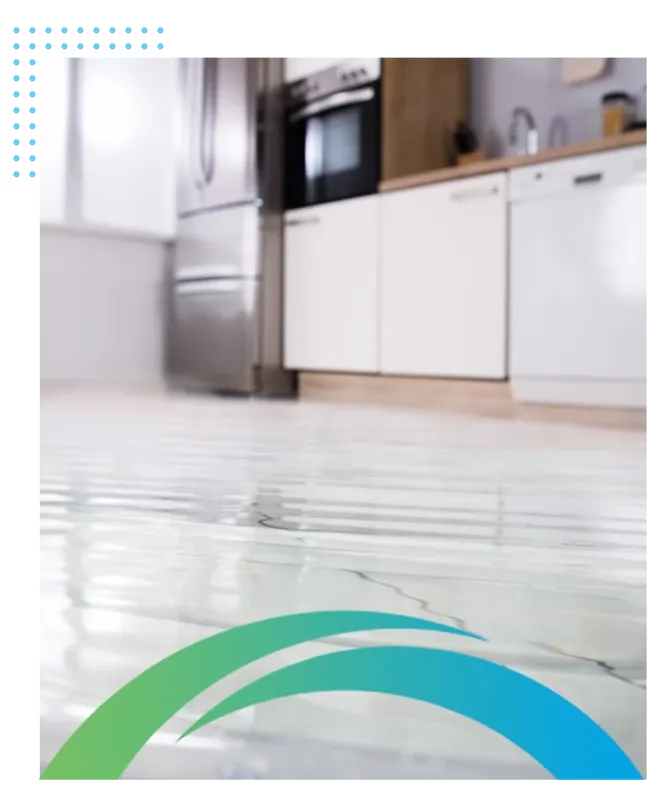 Water Removal Services