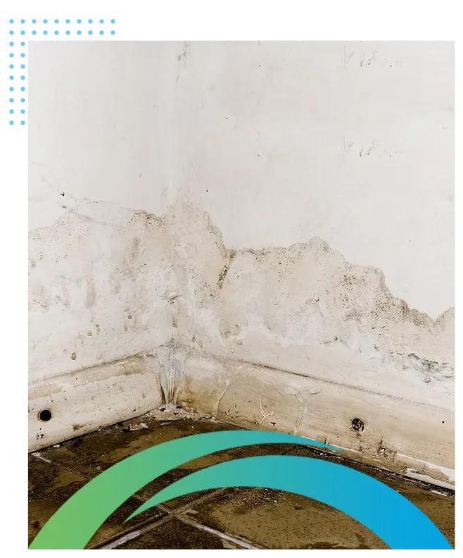 Basement Water Accumulation