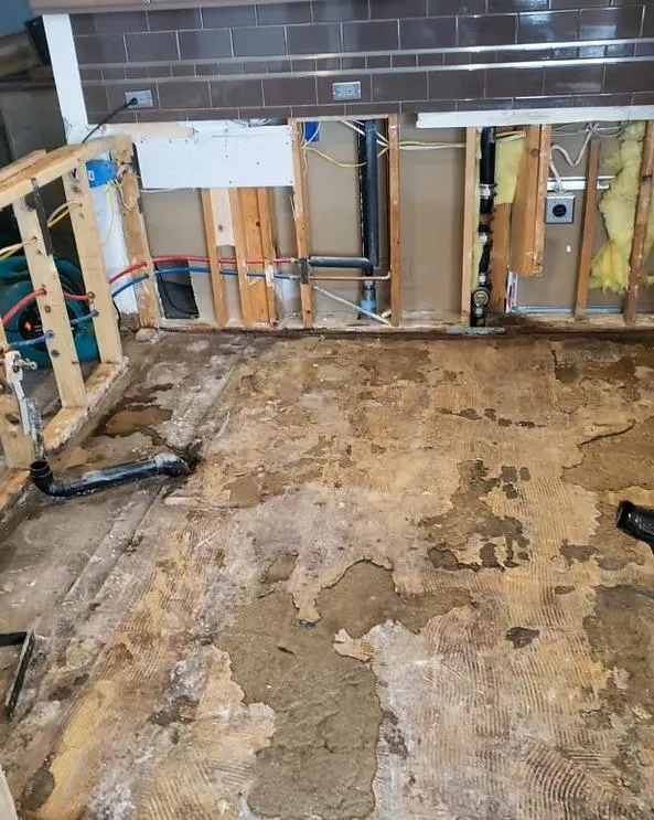 Damage Repair Services