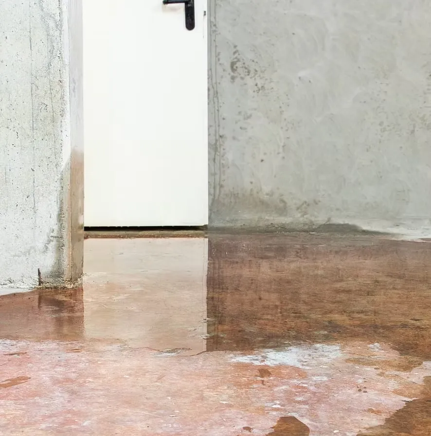 Sewage Backups are Hazardous