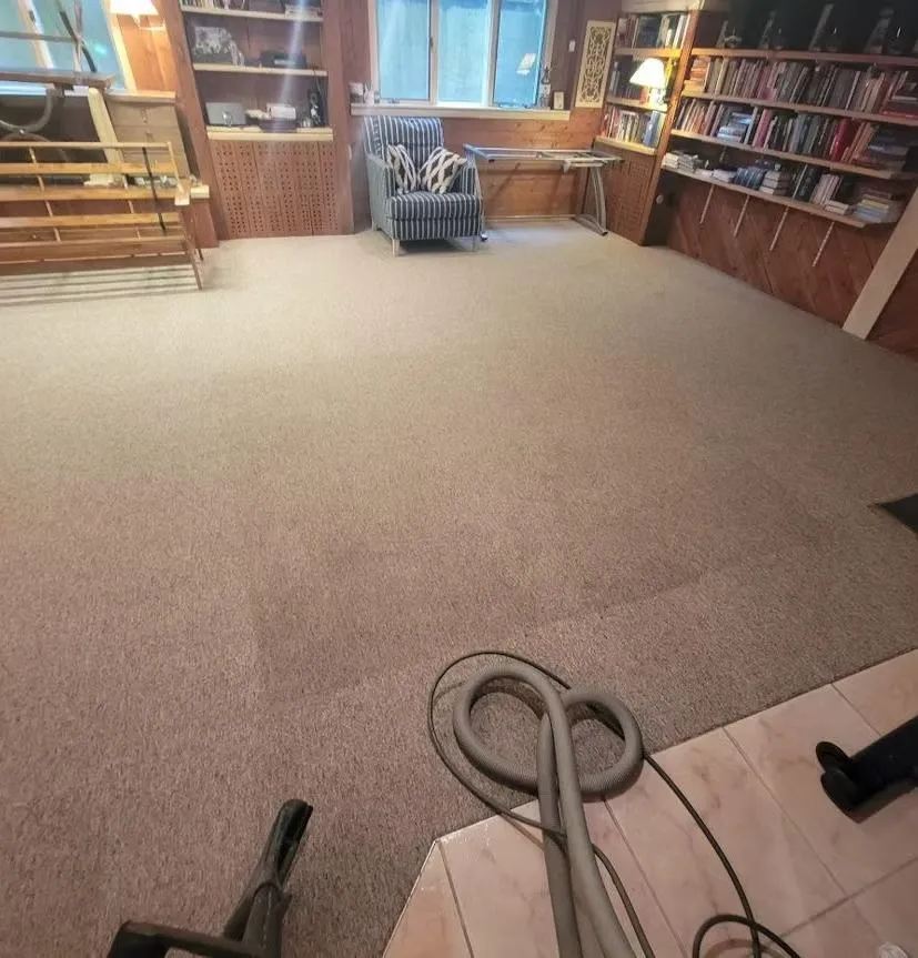 Professional Carpet Cleaning