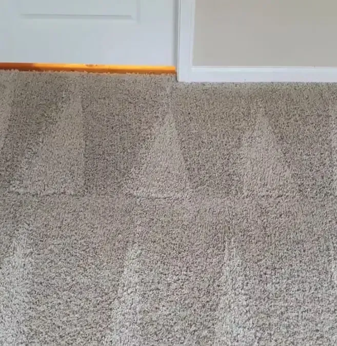 Carpet Cleaning Helps