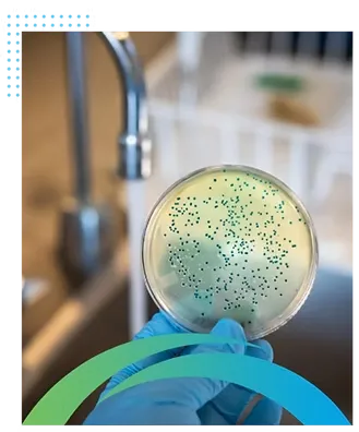 Microbial Contamination