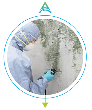 MOLD REMEDIATION SERVICES