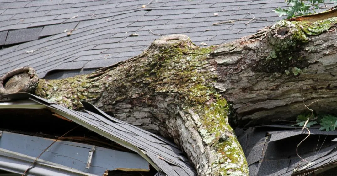 Storm damaged roof needing insurance claim inspection in Montgomery AL