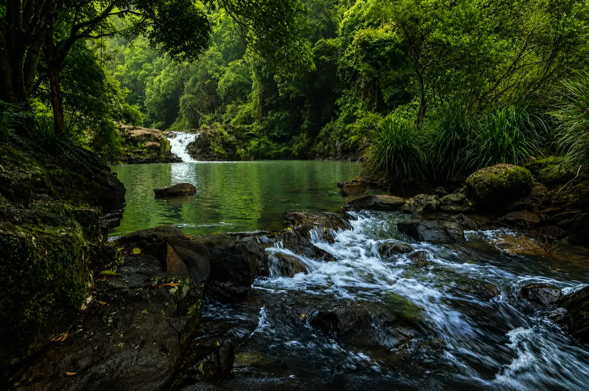 Rainforest stream and waterfall near Maleny