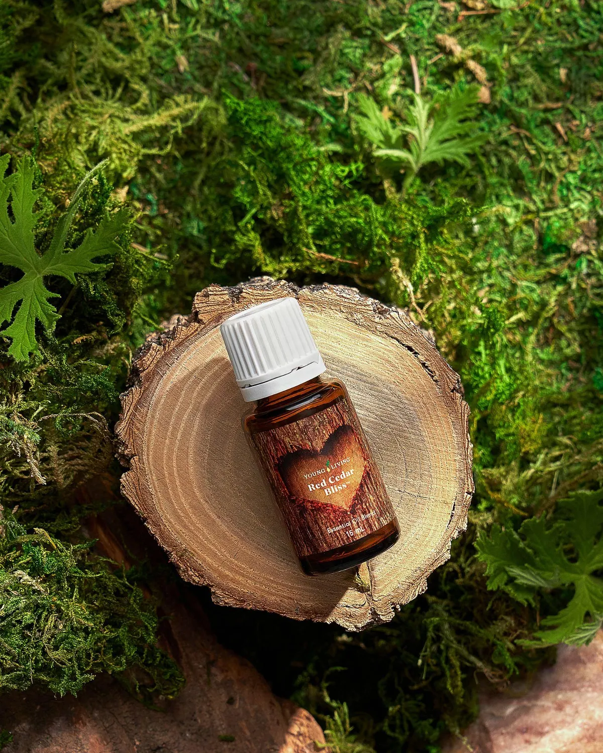 Young Living essential oil bottle on a timber round surrounded by moss