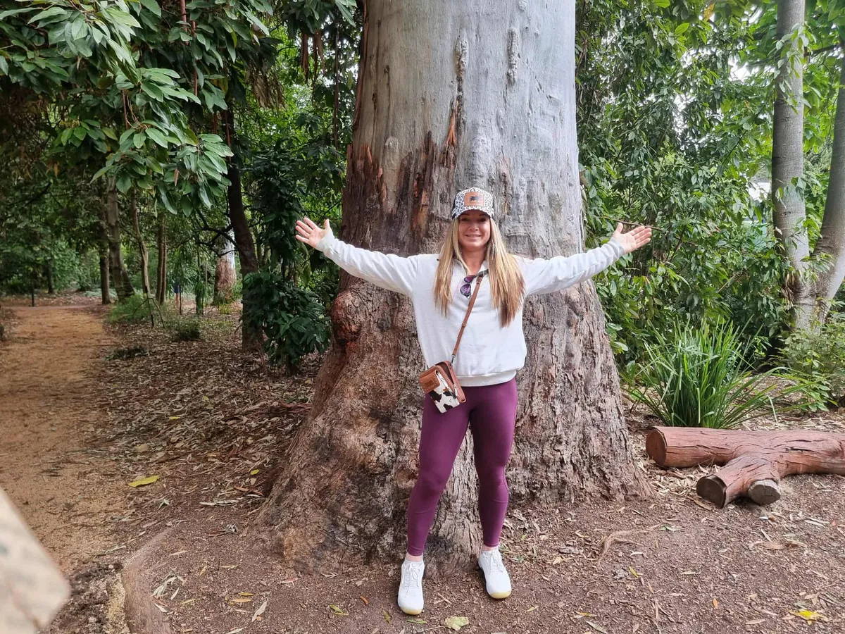 Naomi Lewin embracing a giant rainforest tree
