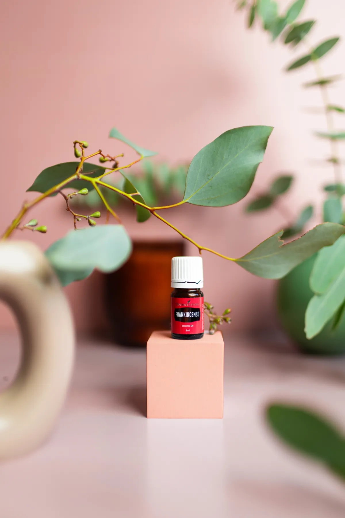 Young Living Frankincense essential oil among green botanicals